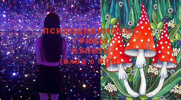 соль курить ск Балахна